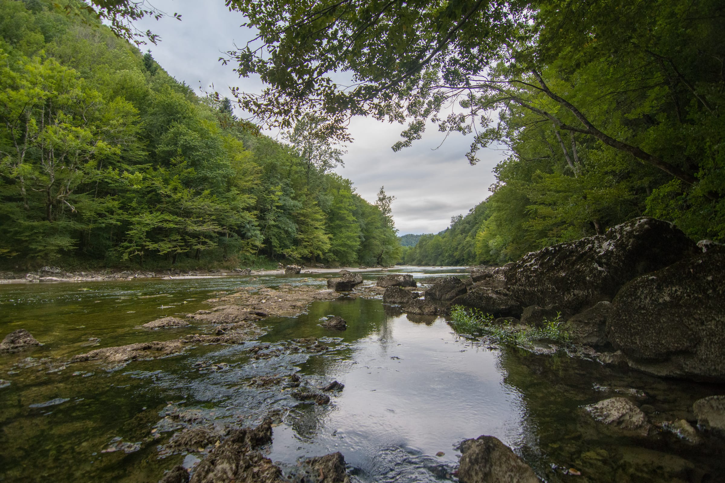 Clear Kolpa river flowing through a wooded limestone gorge with rocky banks and overhanging trees.