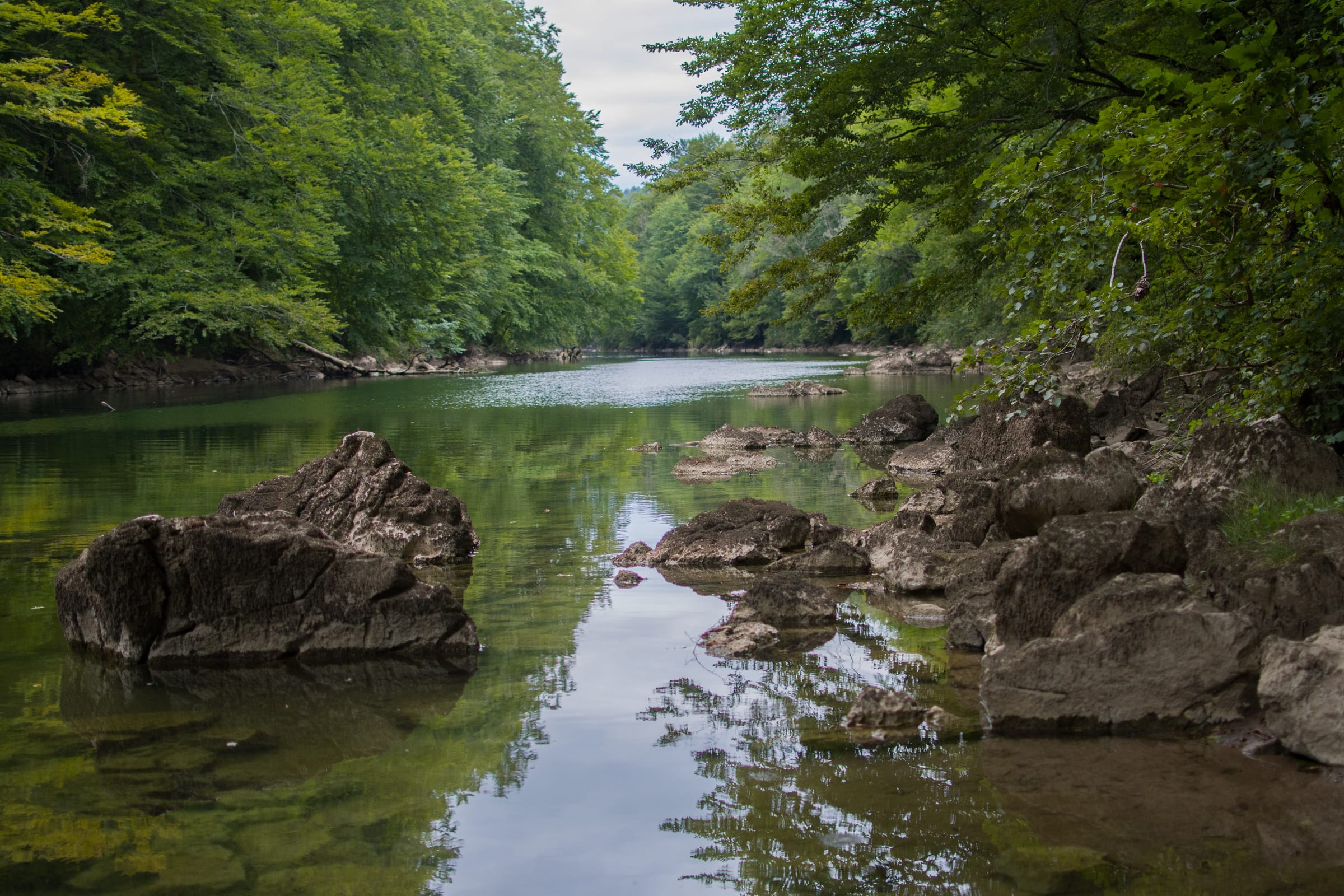 The Kolpa running through a forested gorge with large limestone boulders in the water.