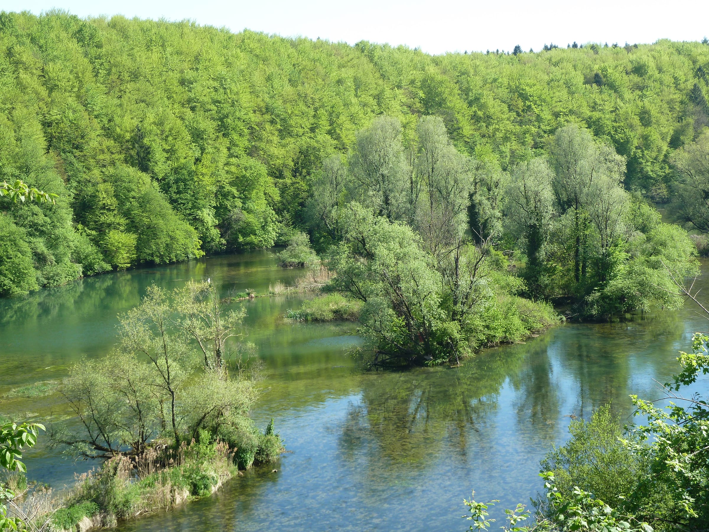 Tufa islands in the Krka upstream of Otočec castle, clear turquoise water between green islets.