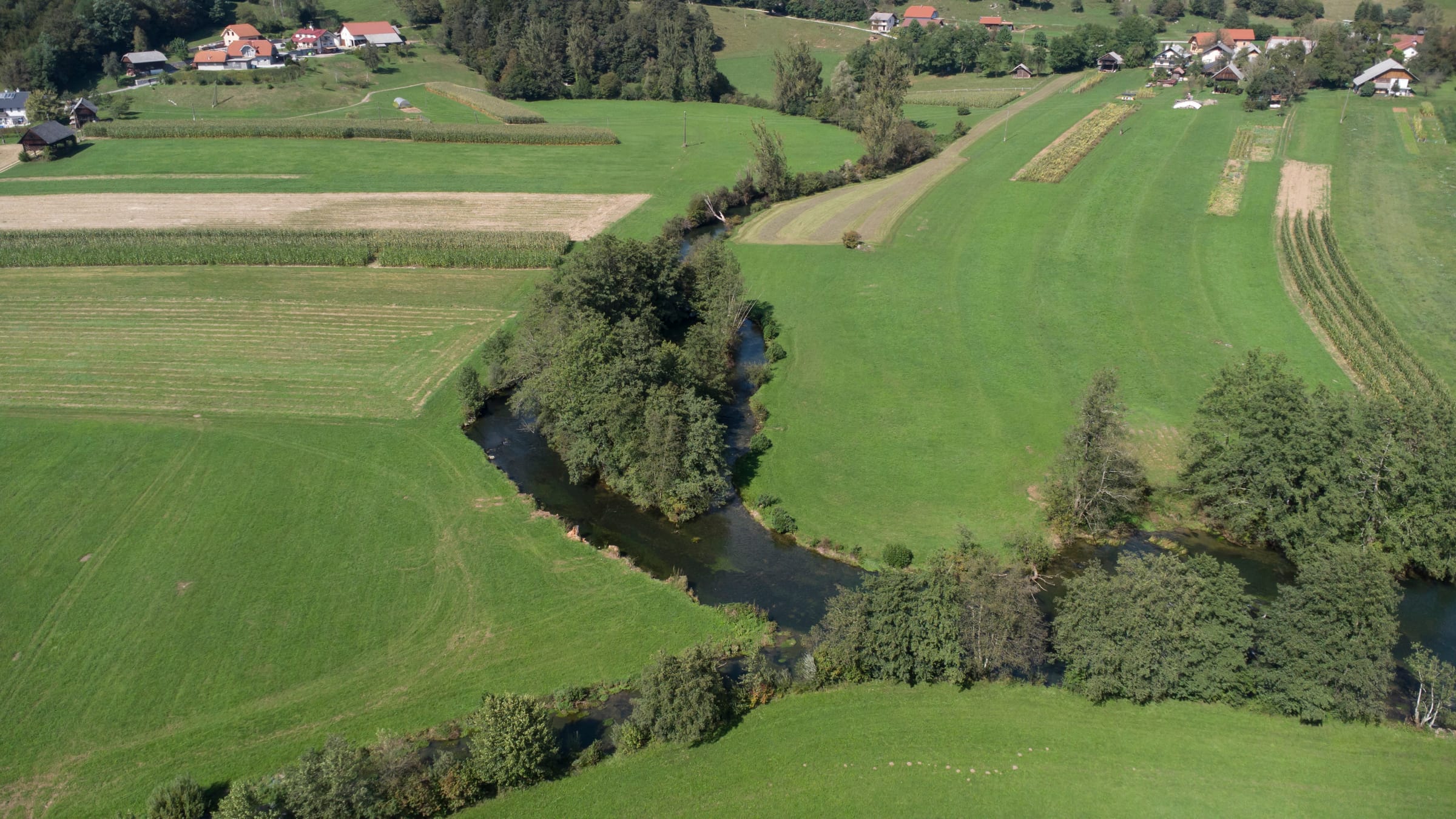 Aerial view of the upper Krka winding through green meadows near its source, Dolenjska, Slovenia.