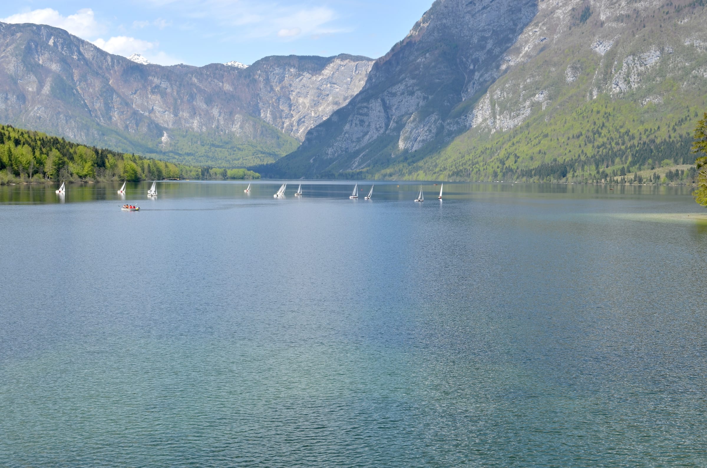 Lake Bohinj on a clear day showing the open lake surface and surrounding alpine landscape.