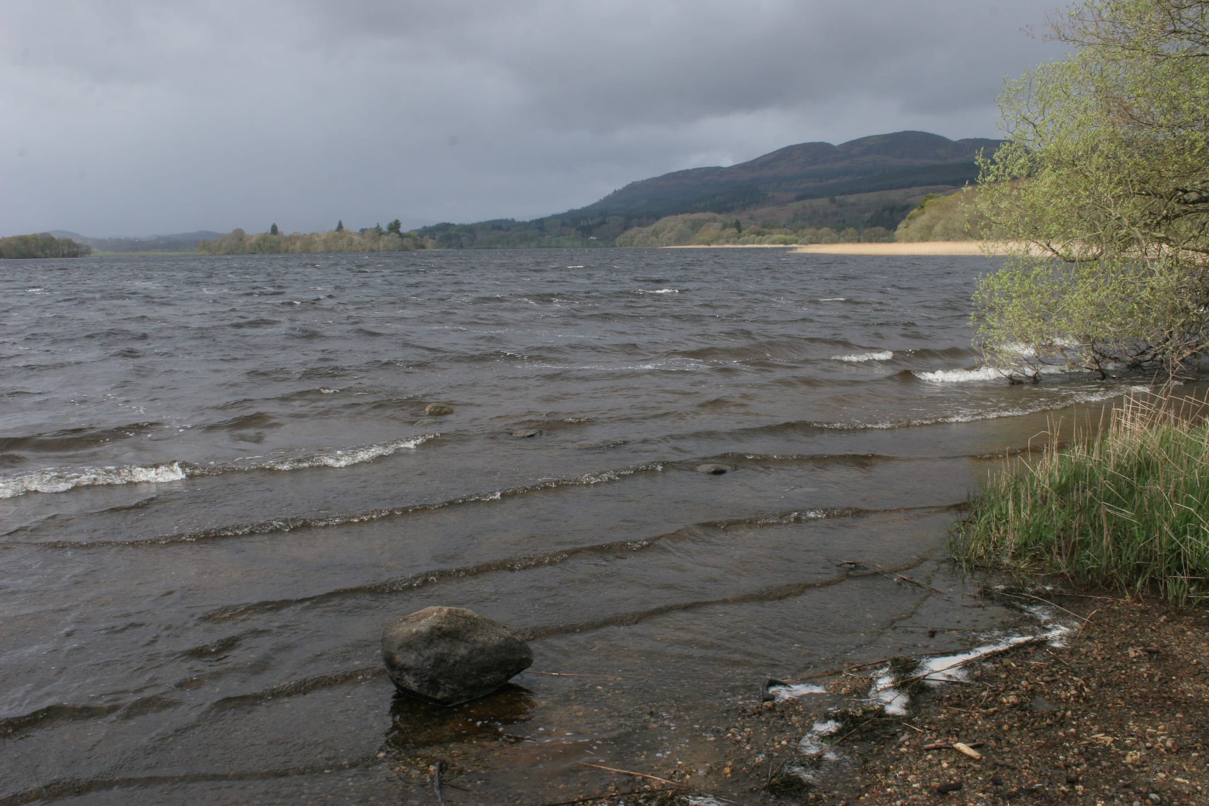 Open water of the Lake of Menteith with the wooded island of Inchmahome in the middle distance.