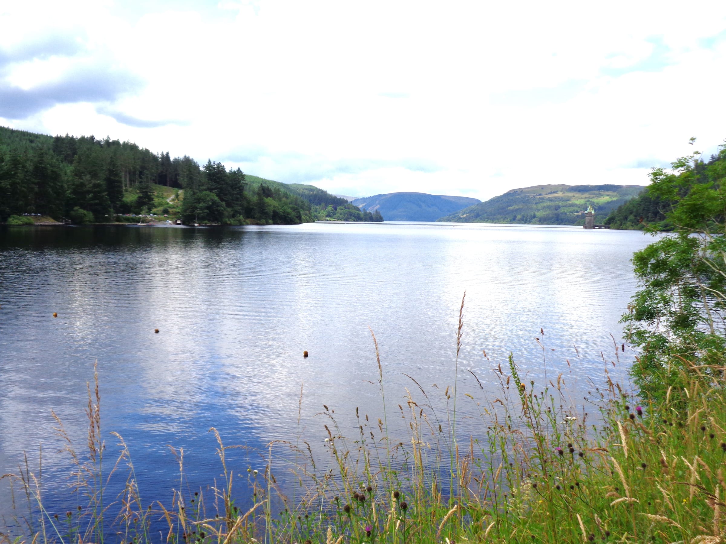 Broad view of Lake Vyrnwy reservoir with calm water, wooded hillsides, and the shoreline stretching into the distance.