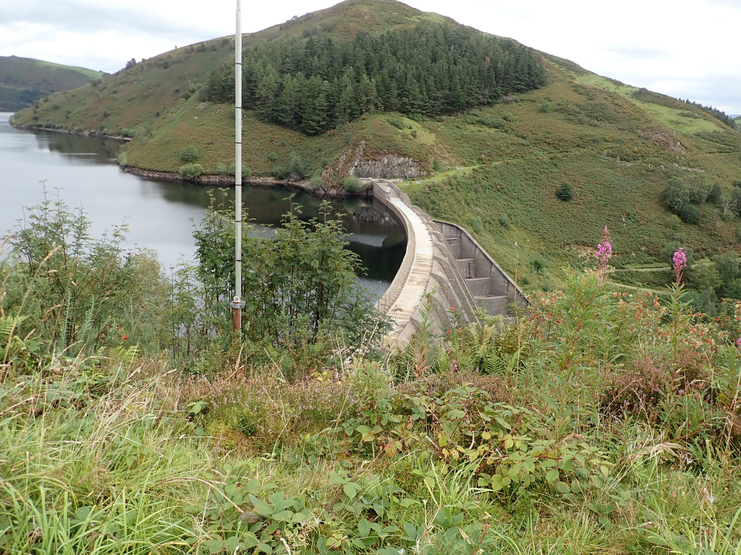 The tall concrete face of Clywedog Dam with reservoir water visible at the top of the structure.