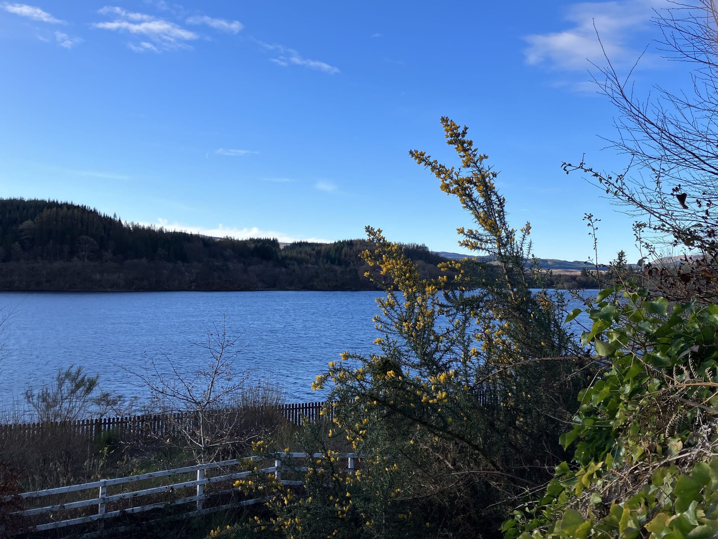 Loch Awe in spring, showing open water with the surrounding Argyll hills.