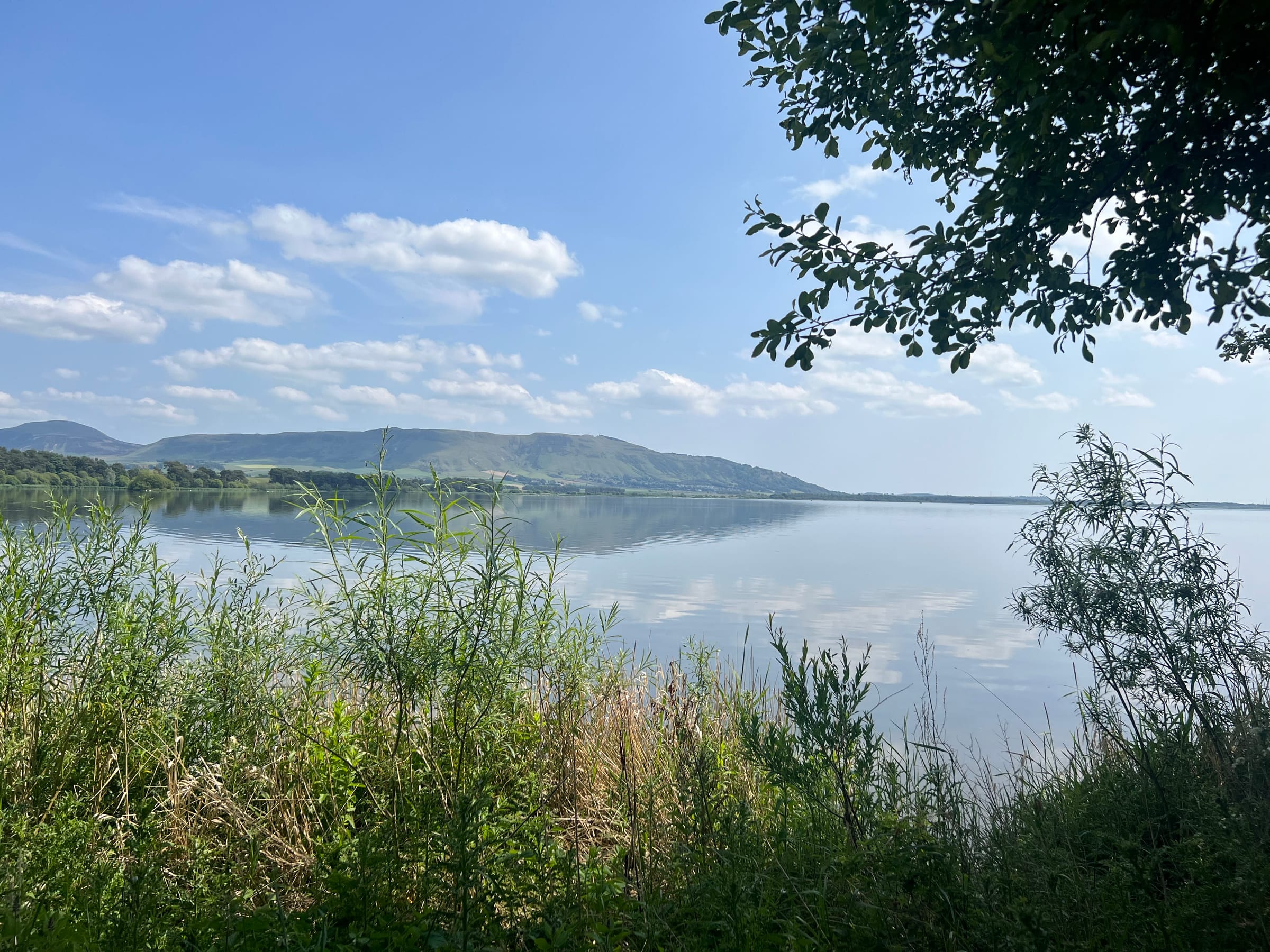 Still, sunlit surface of Loch Leven seen from the north shore, reed-fringed foreground with rolling hills behind.
