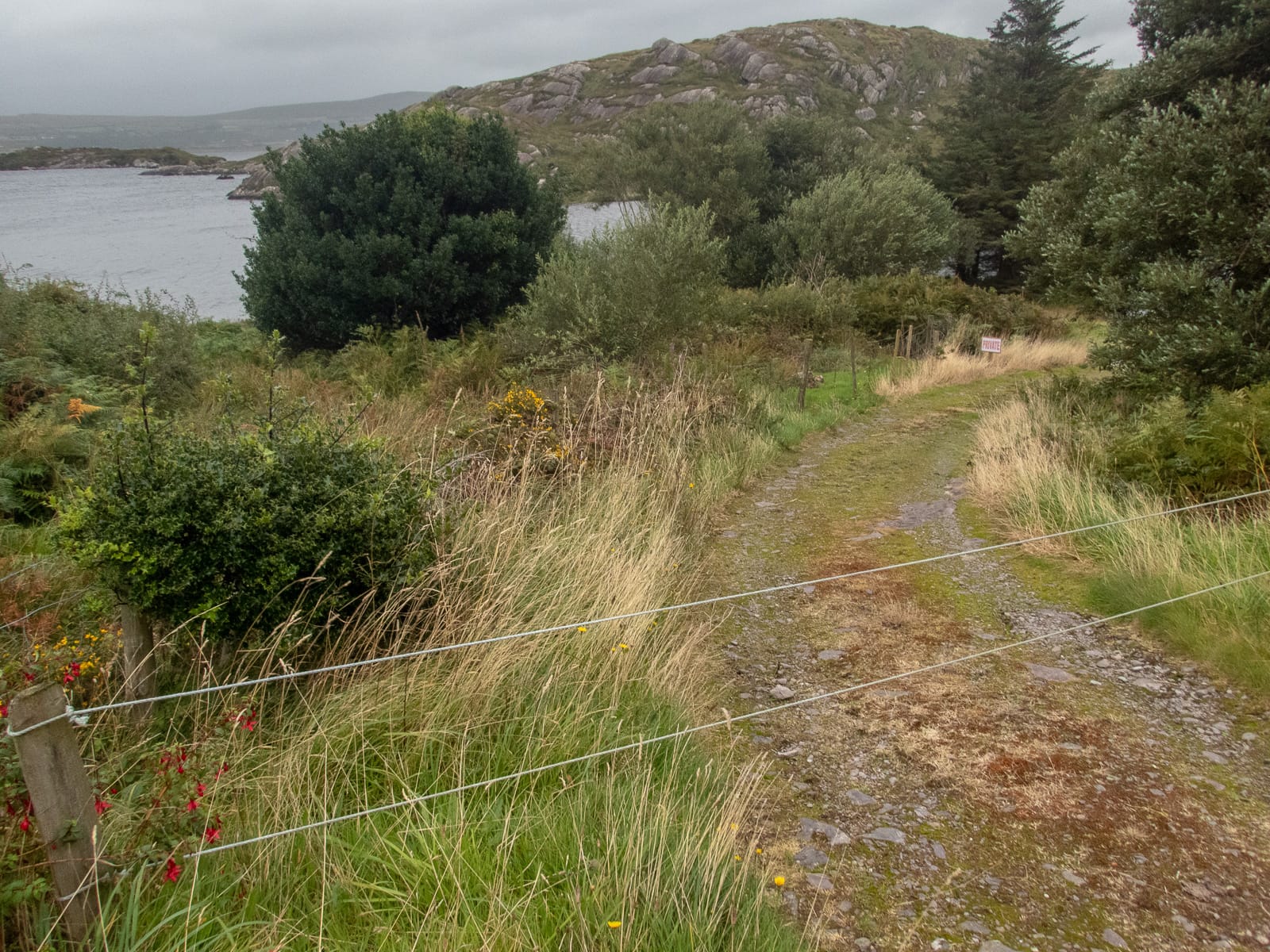 A rocky inlet on Lough Currane, open lough water and shoreline rocks.