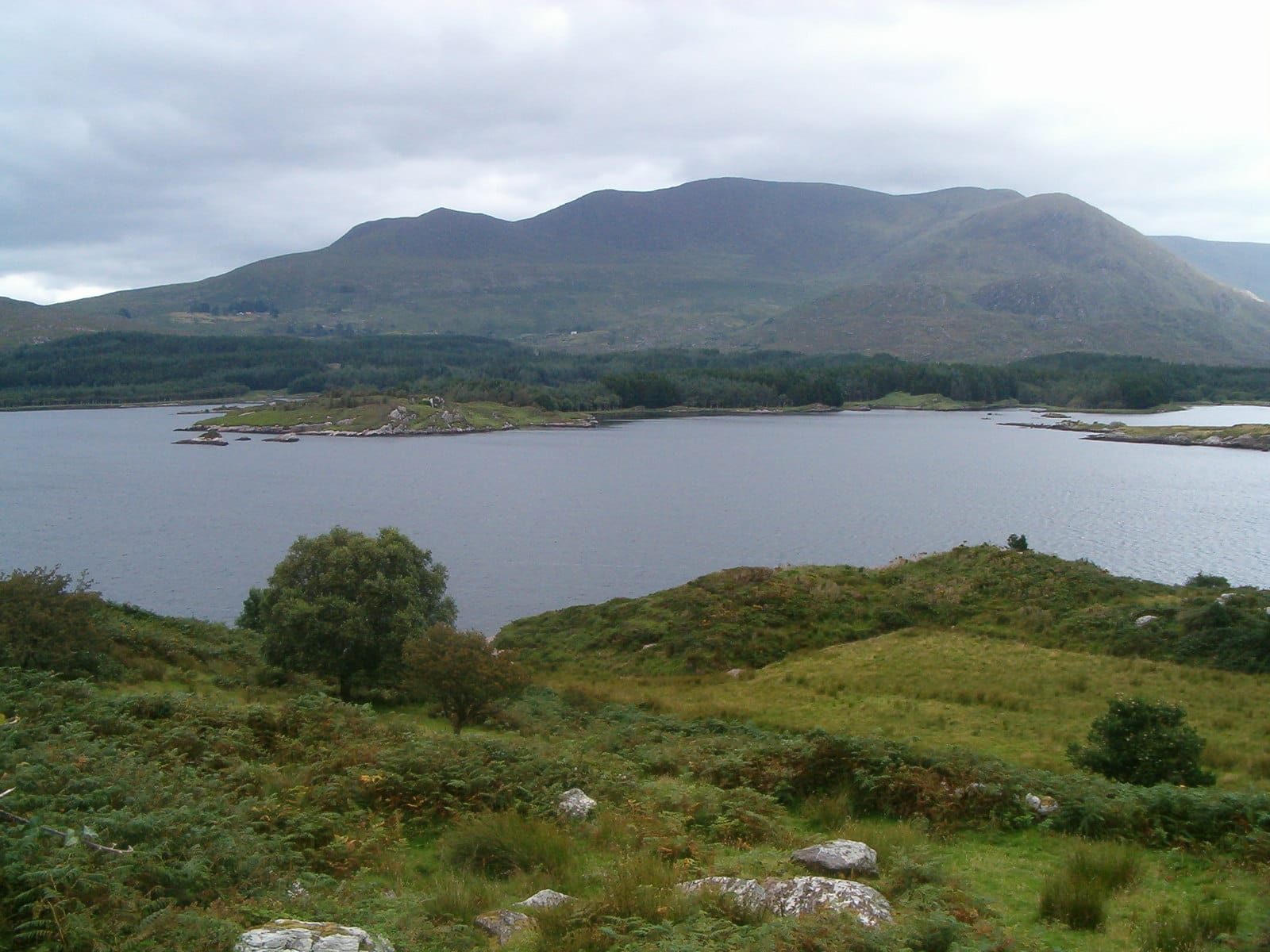 Broad view across the eastern reaches of Lough Currane, County Kerry.