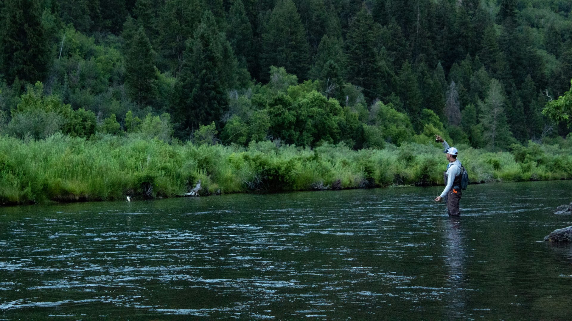 Lower Provo River fishing venue photo