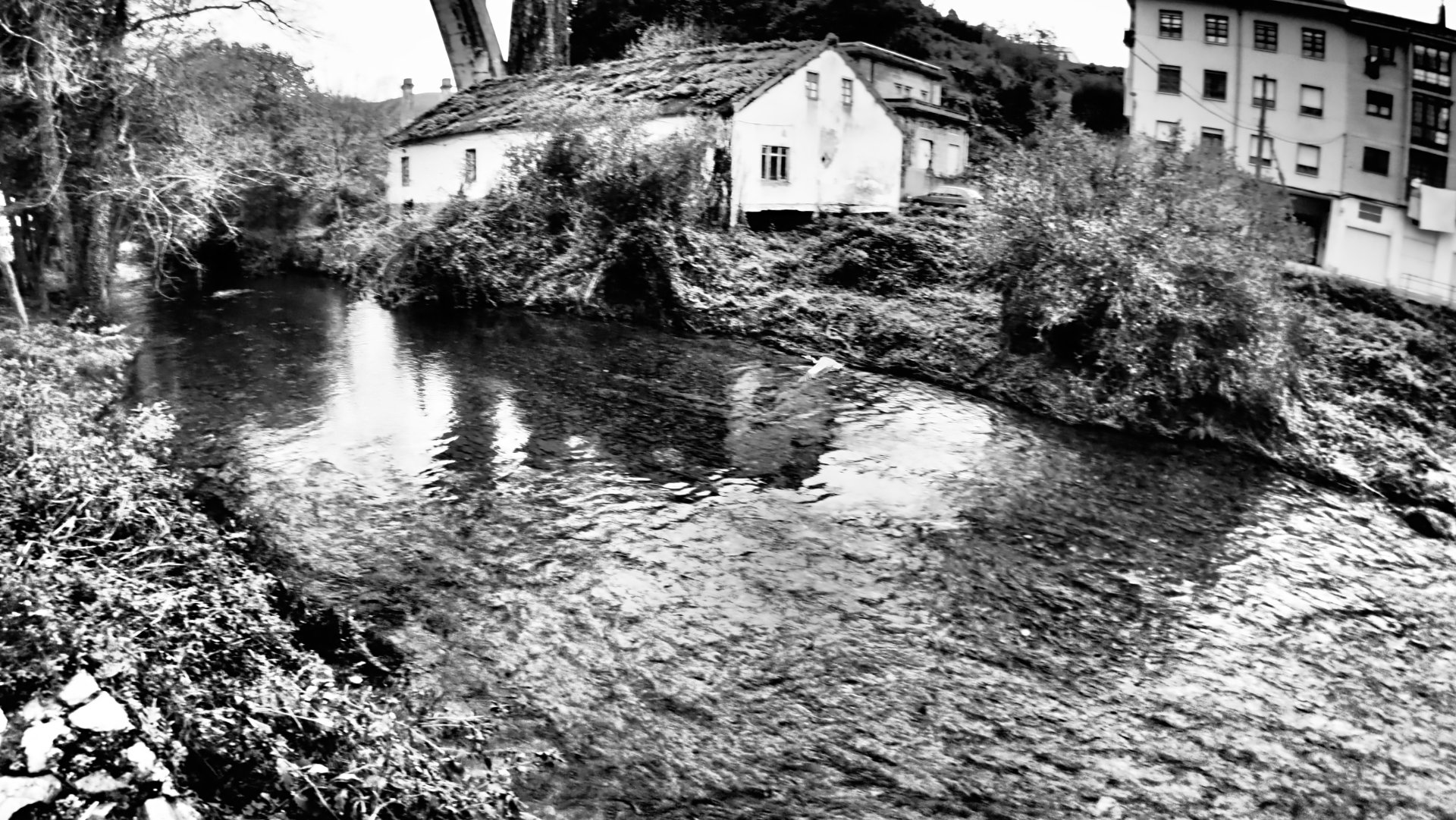 Negro (de Luarca) fishing venue photo