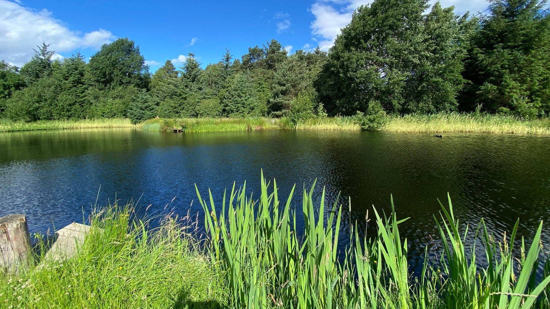 Raemoir Trout Fishery fishing venue photo