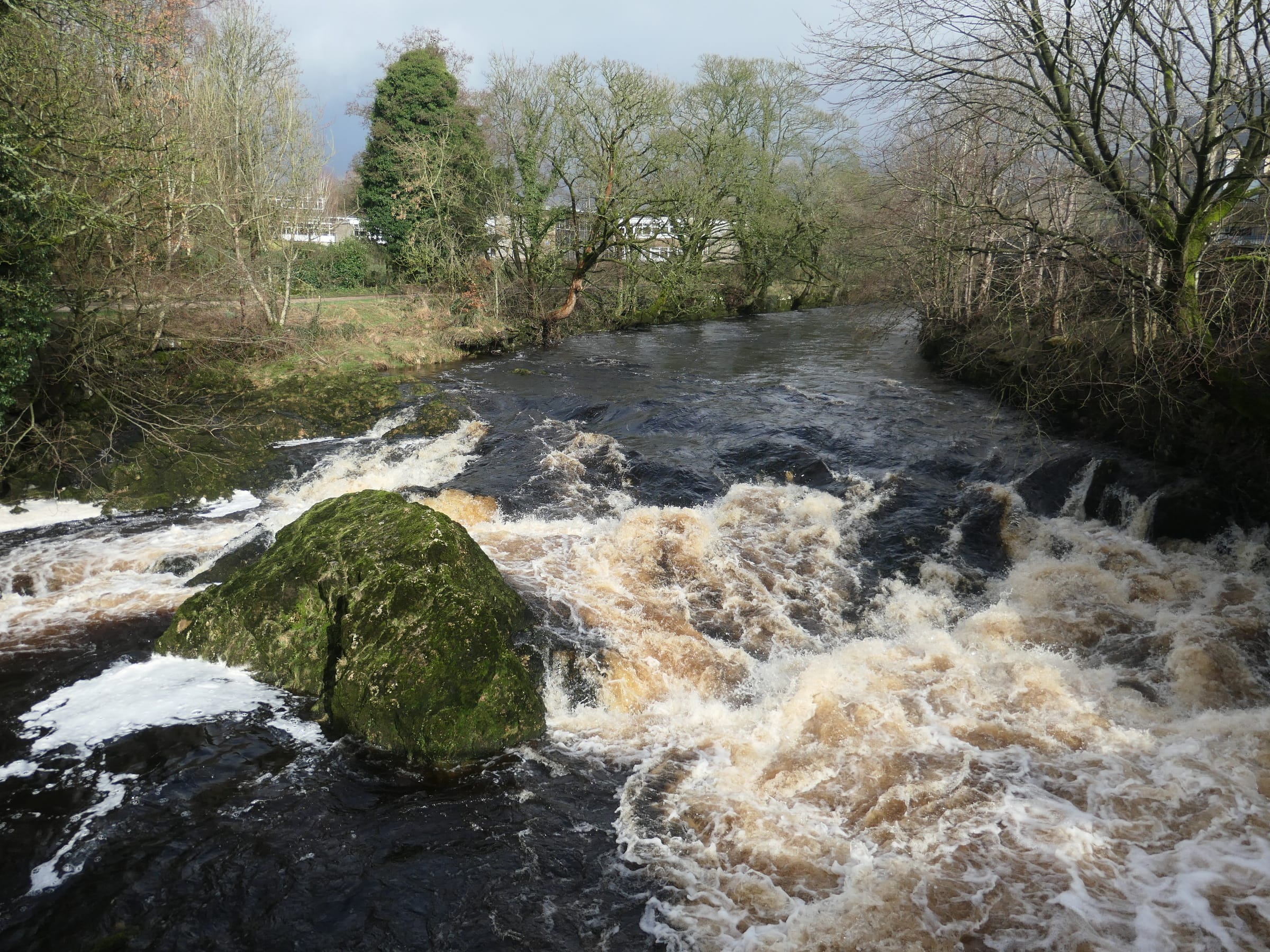 Clear limestone-green pool and exposed bedrock at Queen's Rock on the River Ribble above Settle.