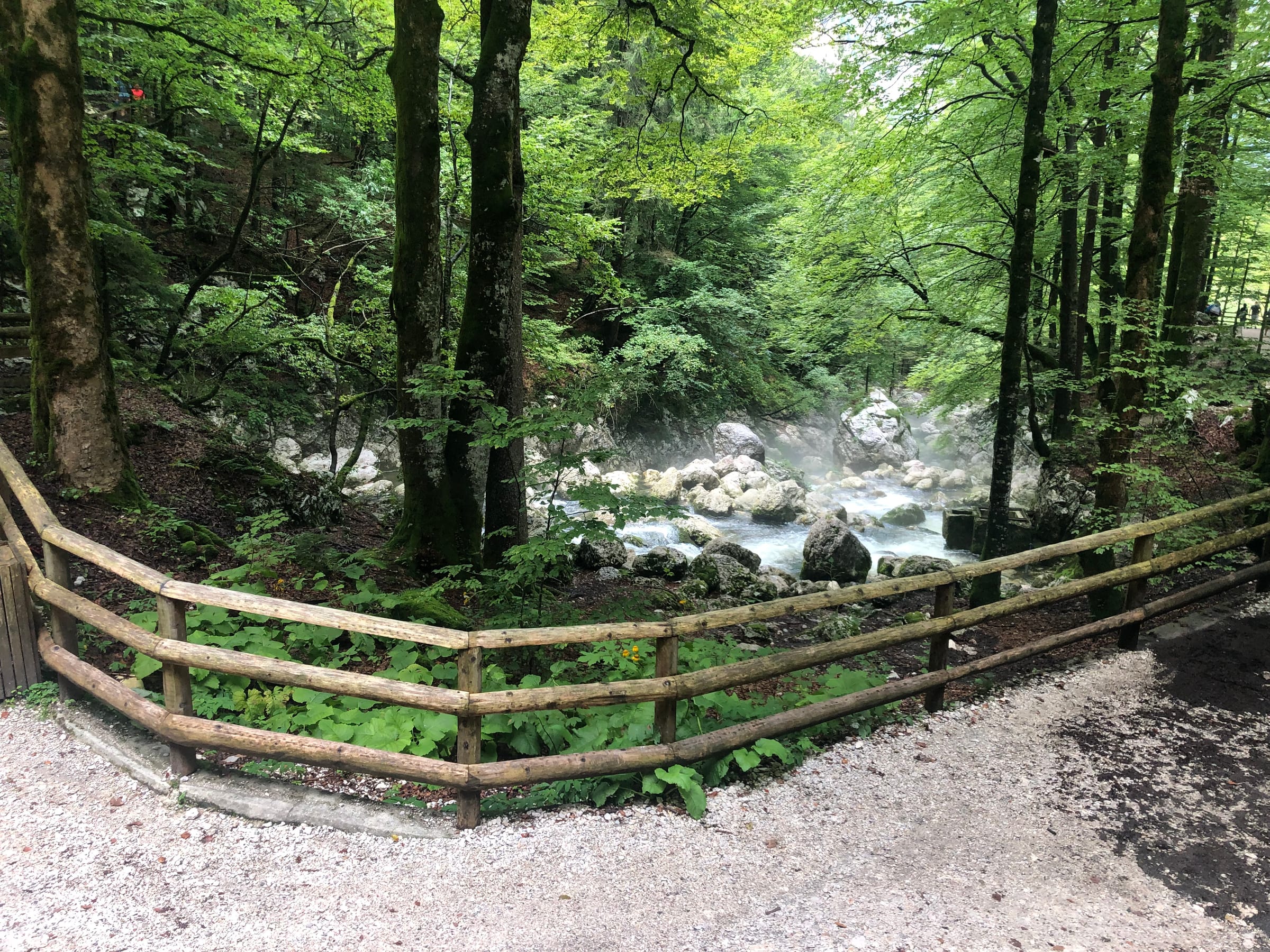 The Sava Bohinjka near Bohinjska Bistrica, clear fast water over a rocky bed with forested hillsides.