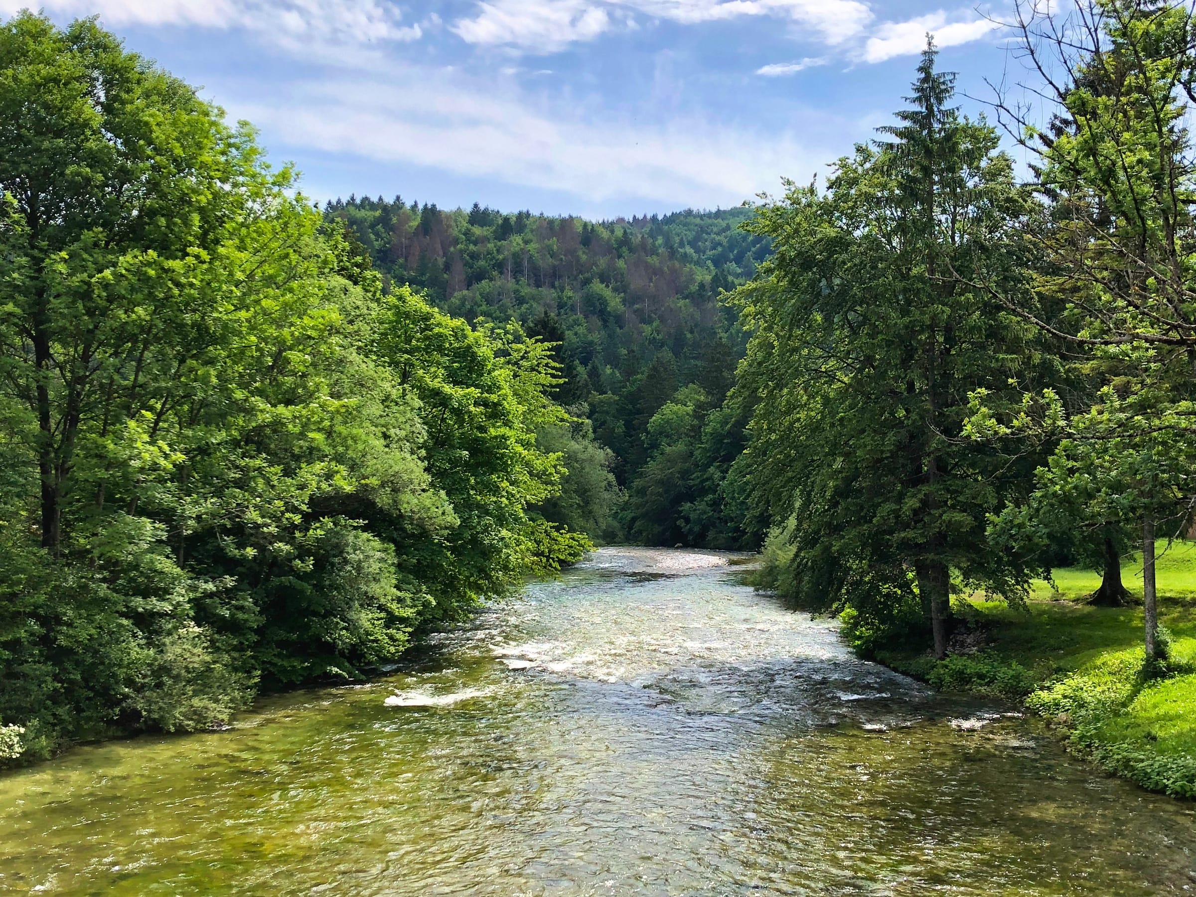 The Sava Bohinjka flowing through the Bohinj valley near the lake outflow, clear turquoise water with boulders.