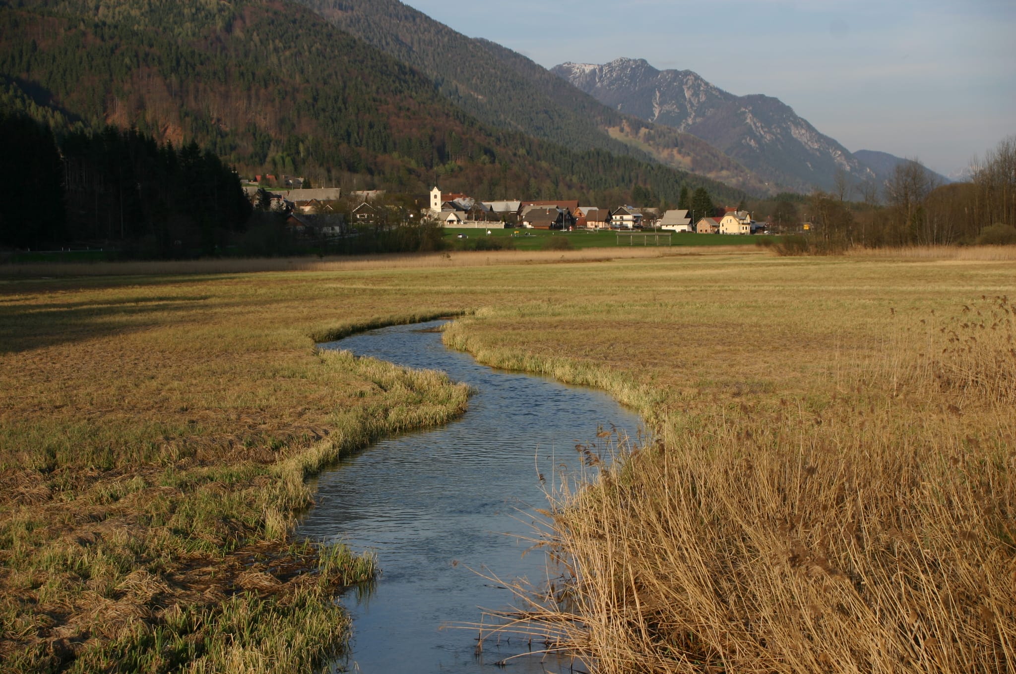 The young river channel of the Sava Dolinka at Zelenci, just below the spring, through wetland sedge.