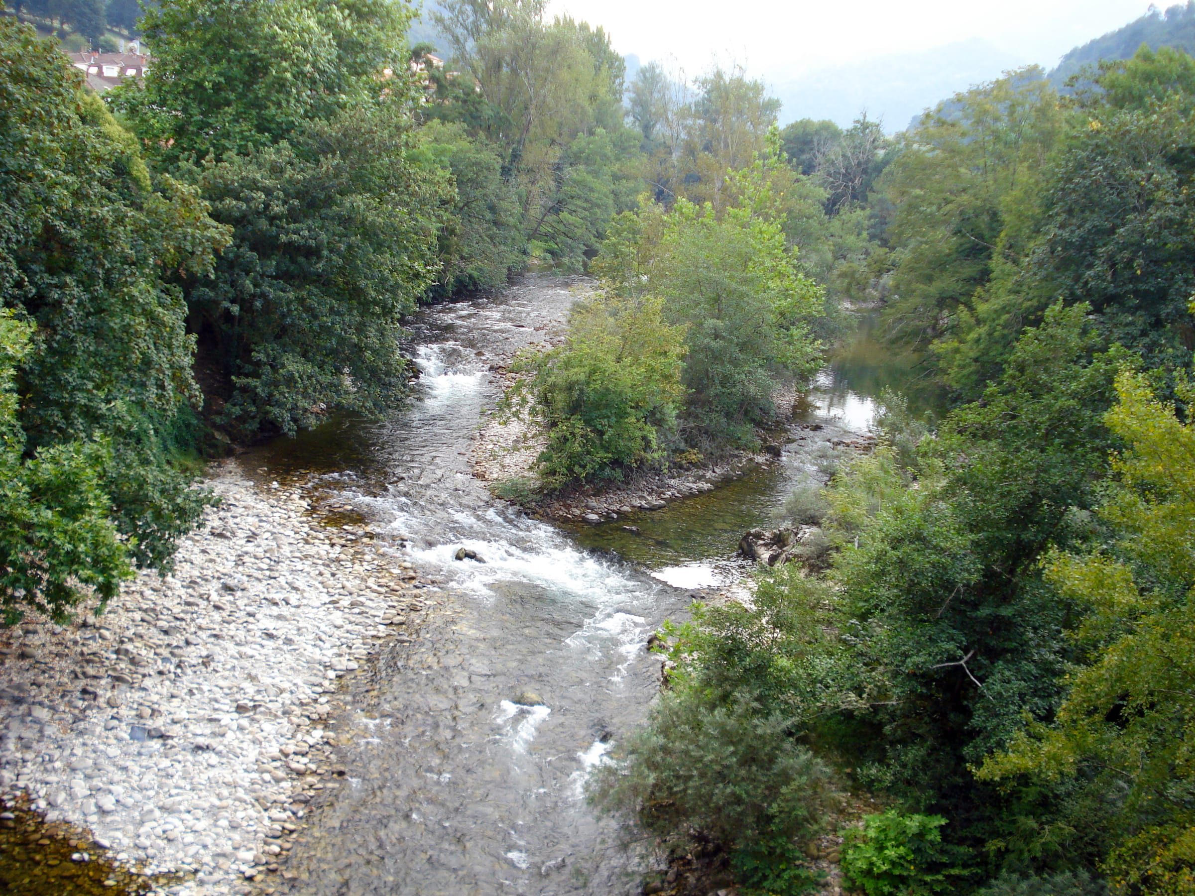 The Río Sella flowing through riparian forest in Asturias.