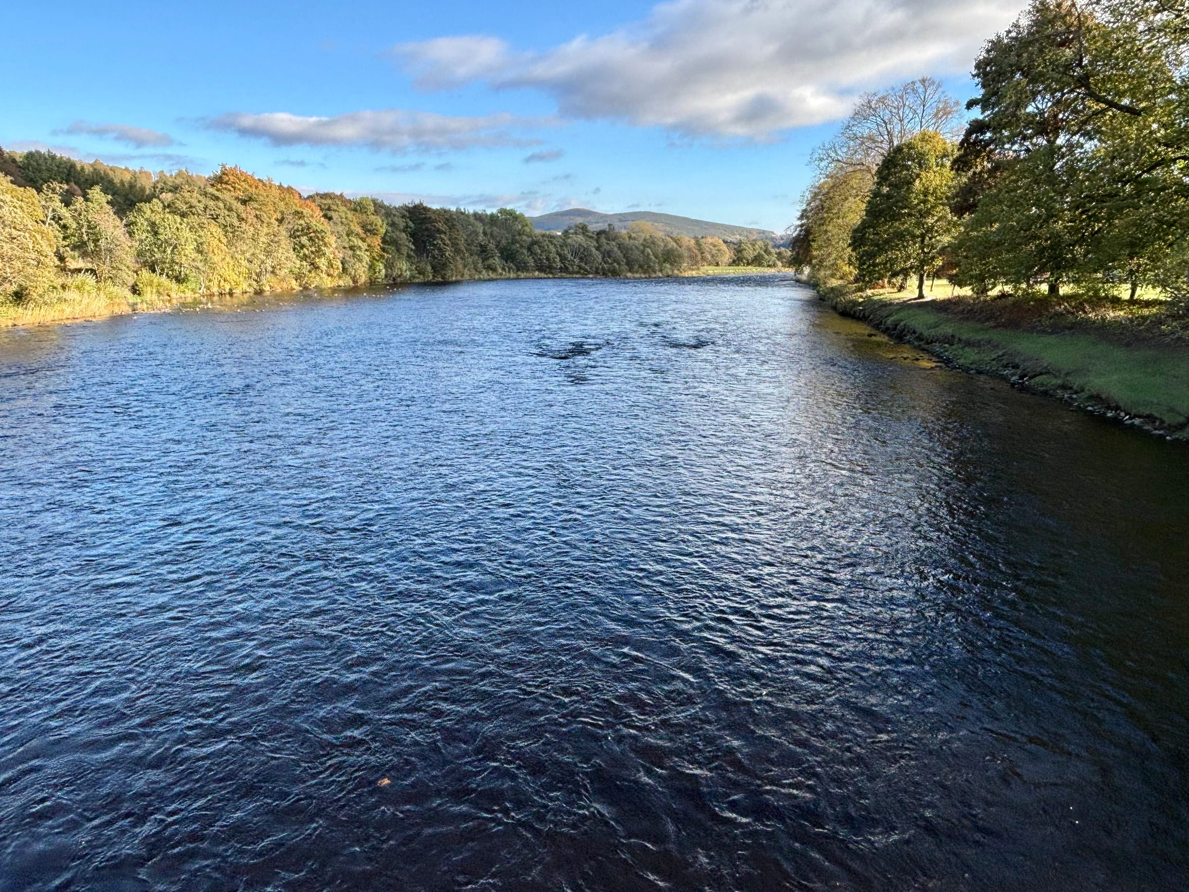 The River Spey flowing downstream through tree-lined banks at Aberlour, Moray, in autumn light.
