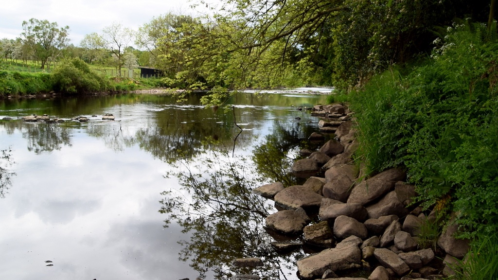 River Strule fishing venue photo