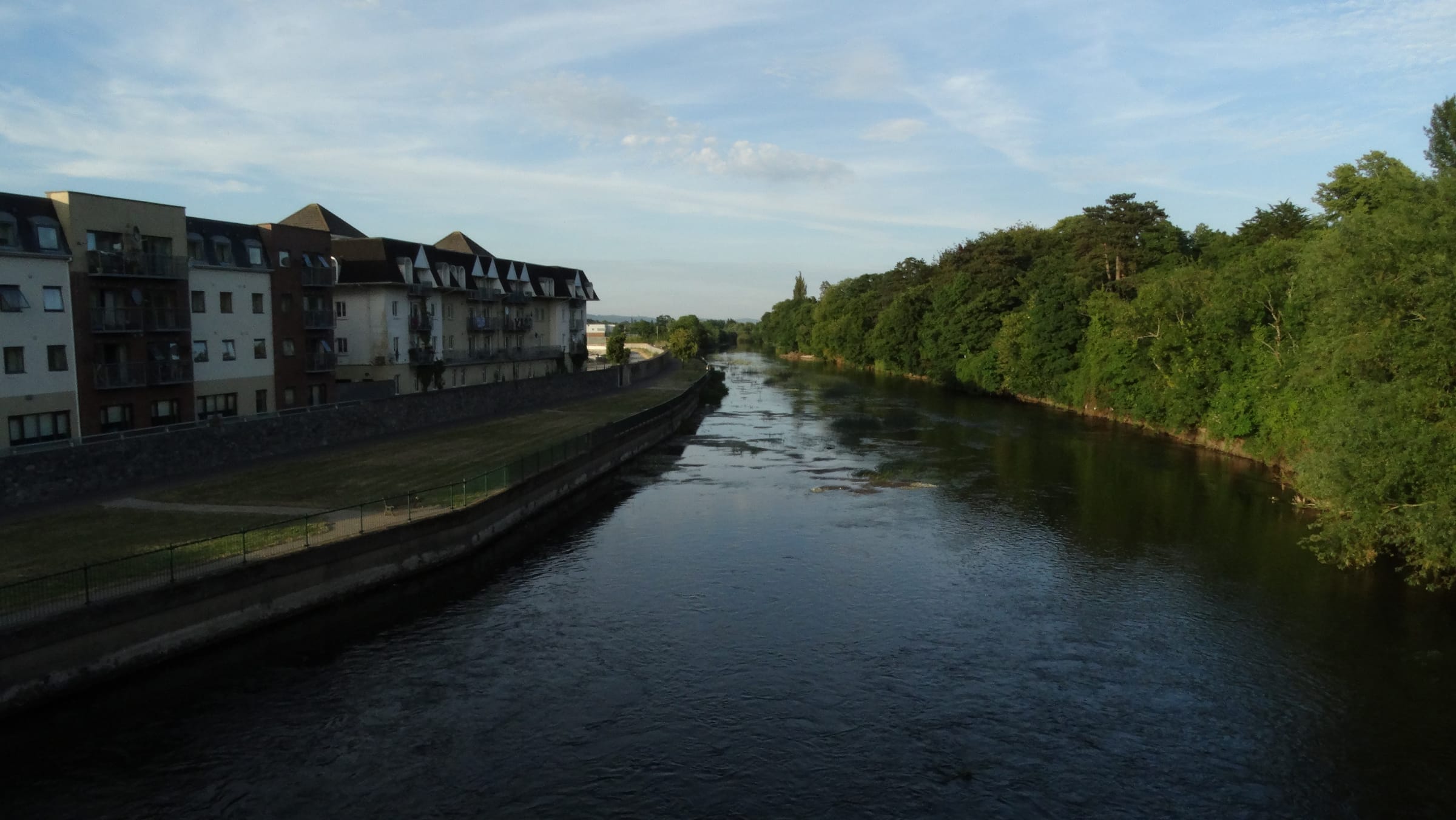 The River Suir east of Gashouse Bridge at Clonmel, a wide smooth-flowing reach flanked by wooded banks.