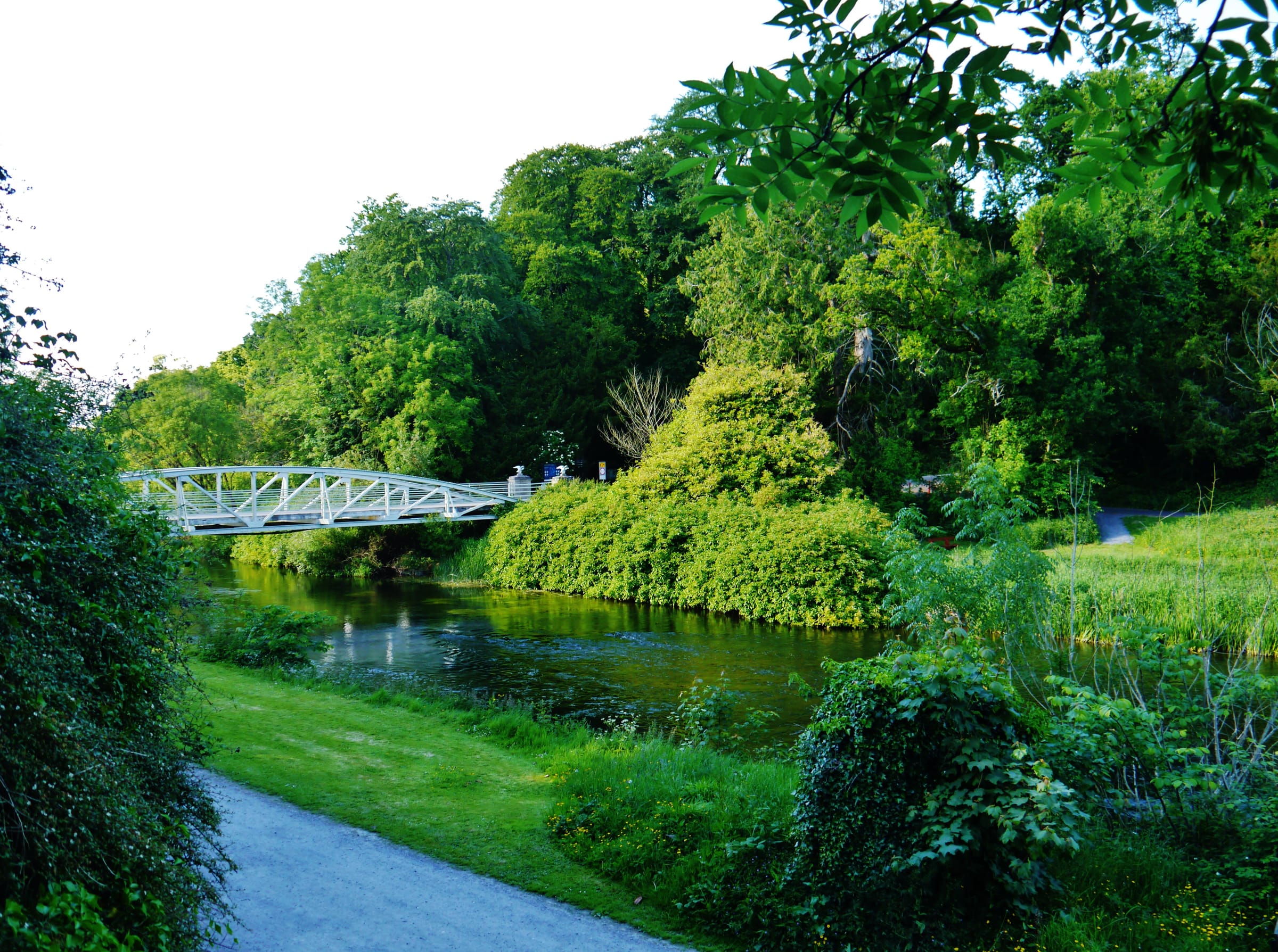The River Suir flowing through open countryside near Cahir, green riparian banks and shallow riffles.
