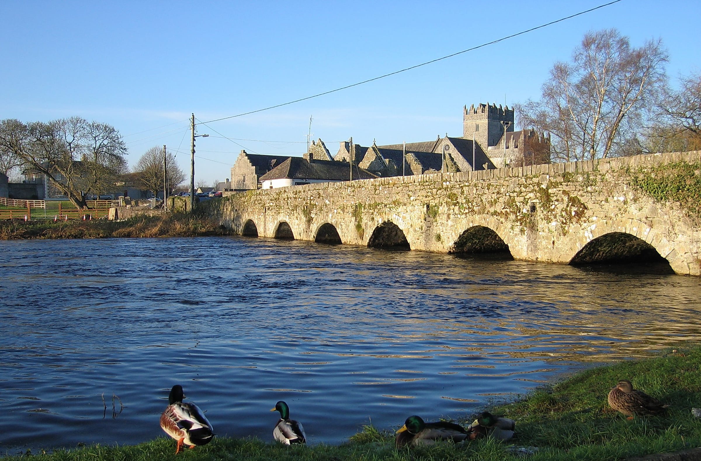 The River Suir at Holycross with the medieval Abbey reflected in the still water and waterfowl on the surface.