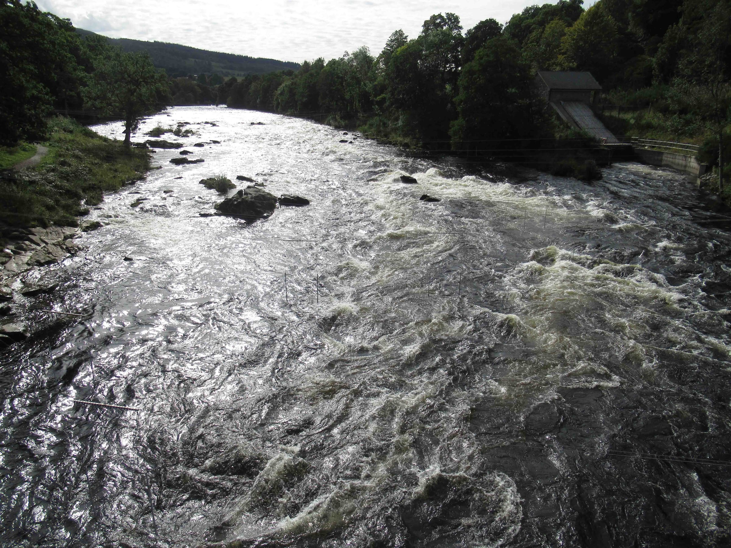 The River Tay rapids at Grandtully, fast broken white water over bedrock in a gorge section.
