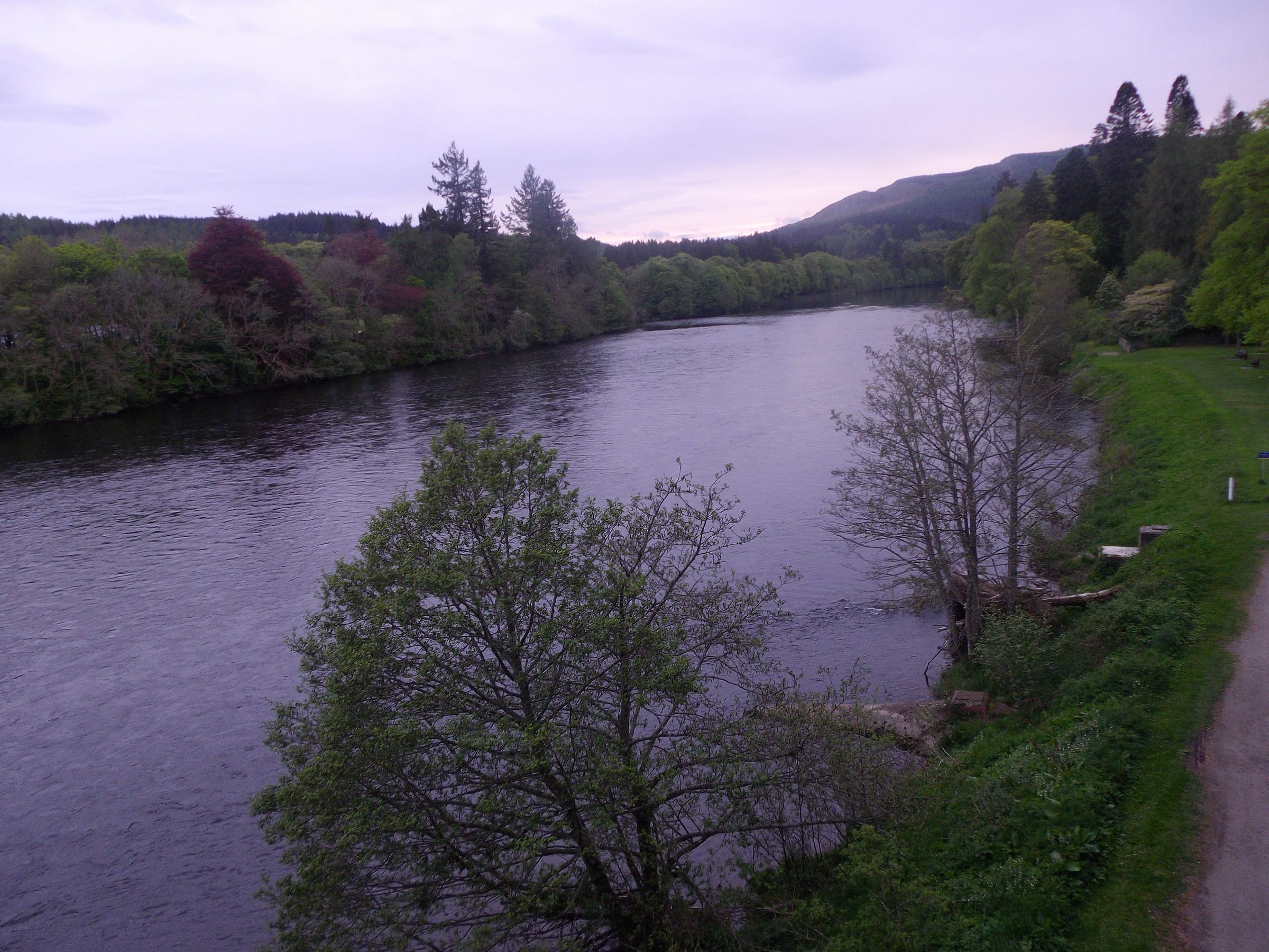 The River Tay flowing upstream of Dunkeld Bridge, Perthshire, with wooded banks on either side.
