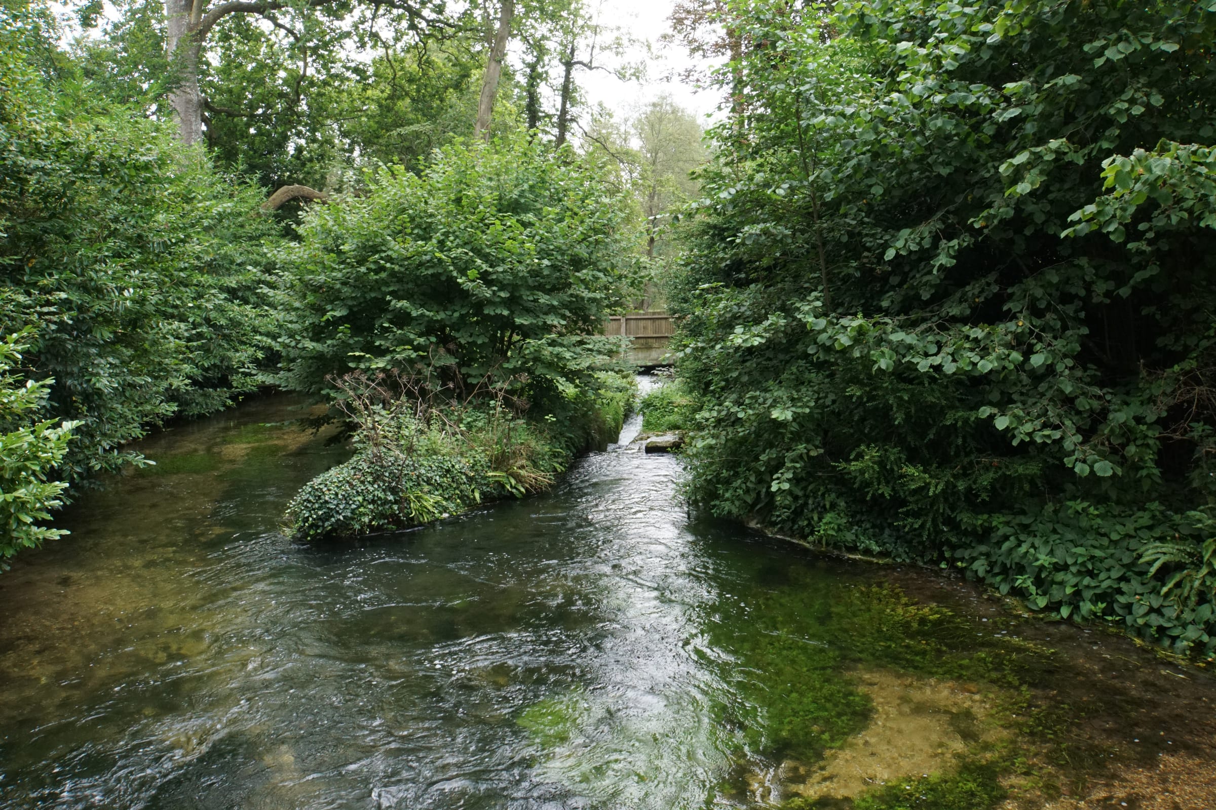 A wide view of the River Test at Mottisfont, the chalk stream flowing through wooded estate grounds.