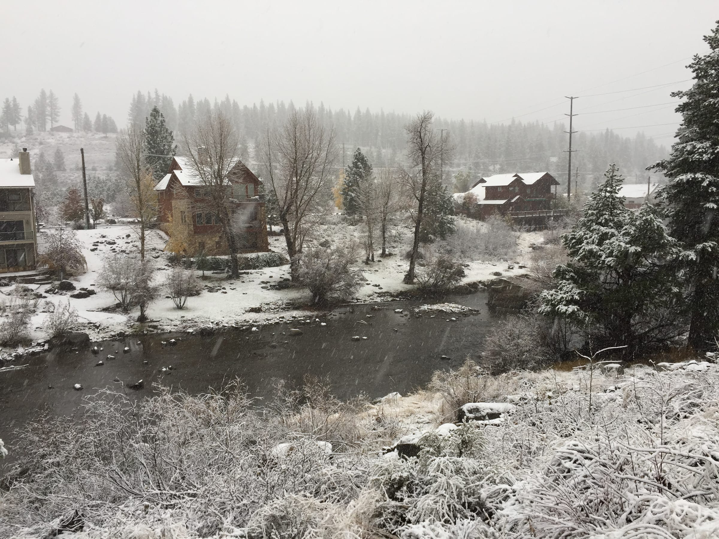 View across the Truckee River during a snowstorm at Truckee River Regional Park, Truckee, California.