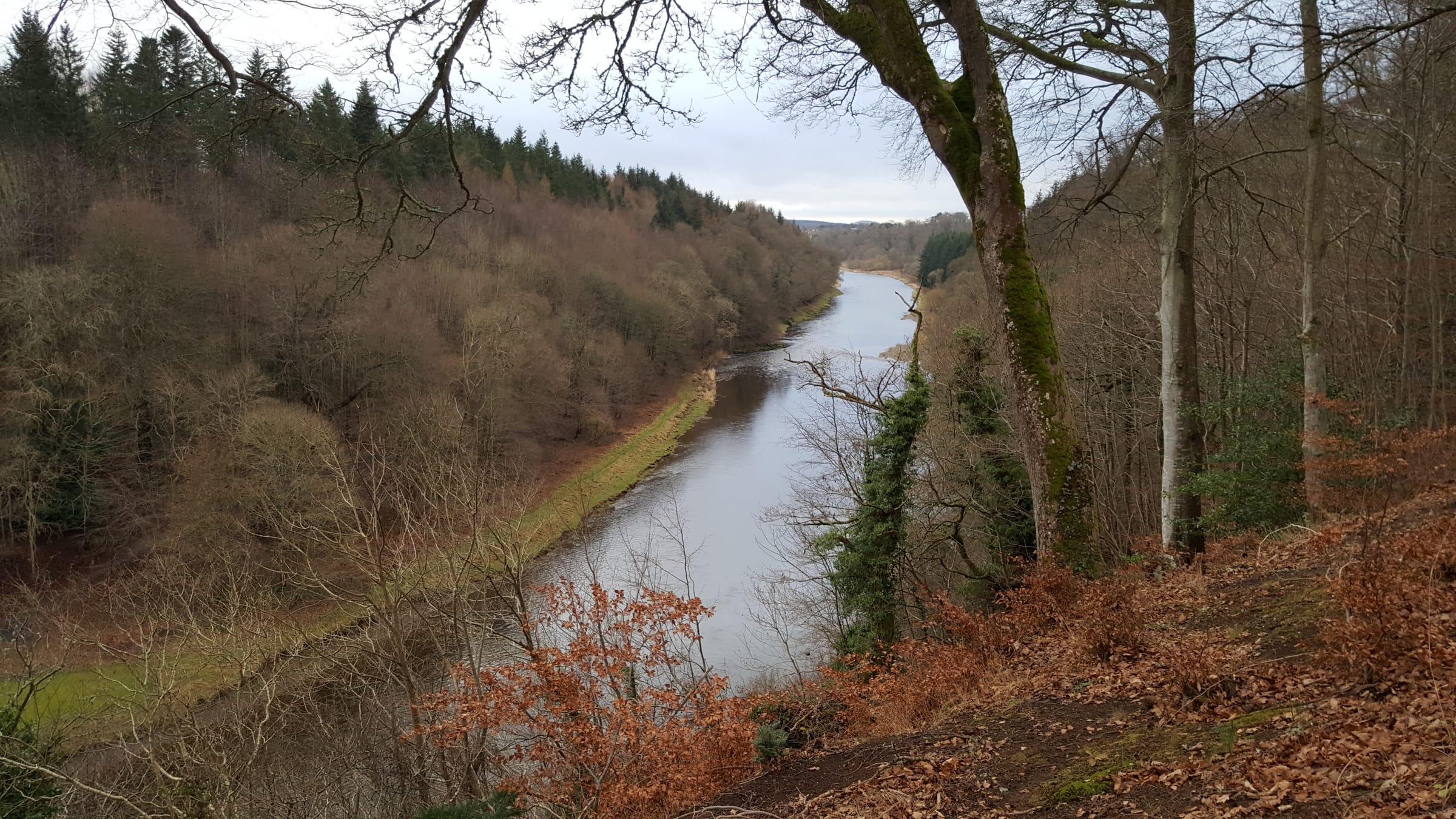 An early-spring view of the River Tweed near Old Melrose, the broad river curving through bare wooded banks.