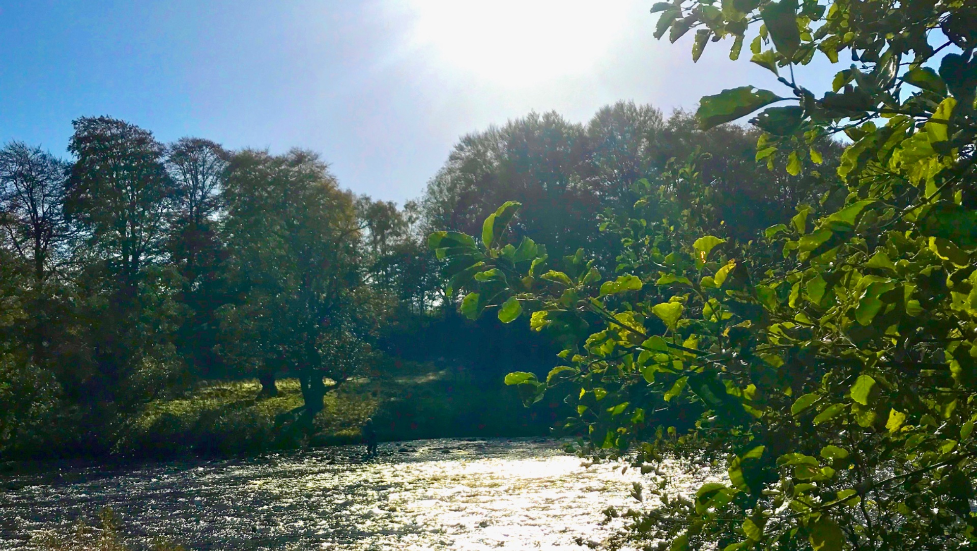 River Tyne fishing venue photo