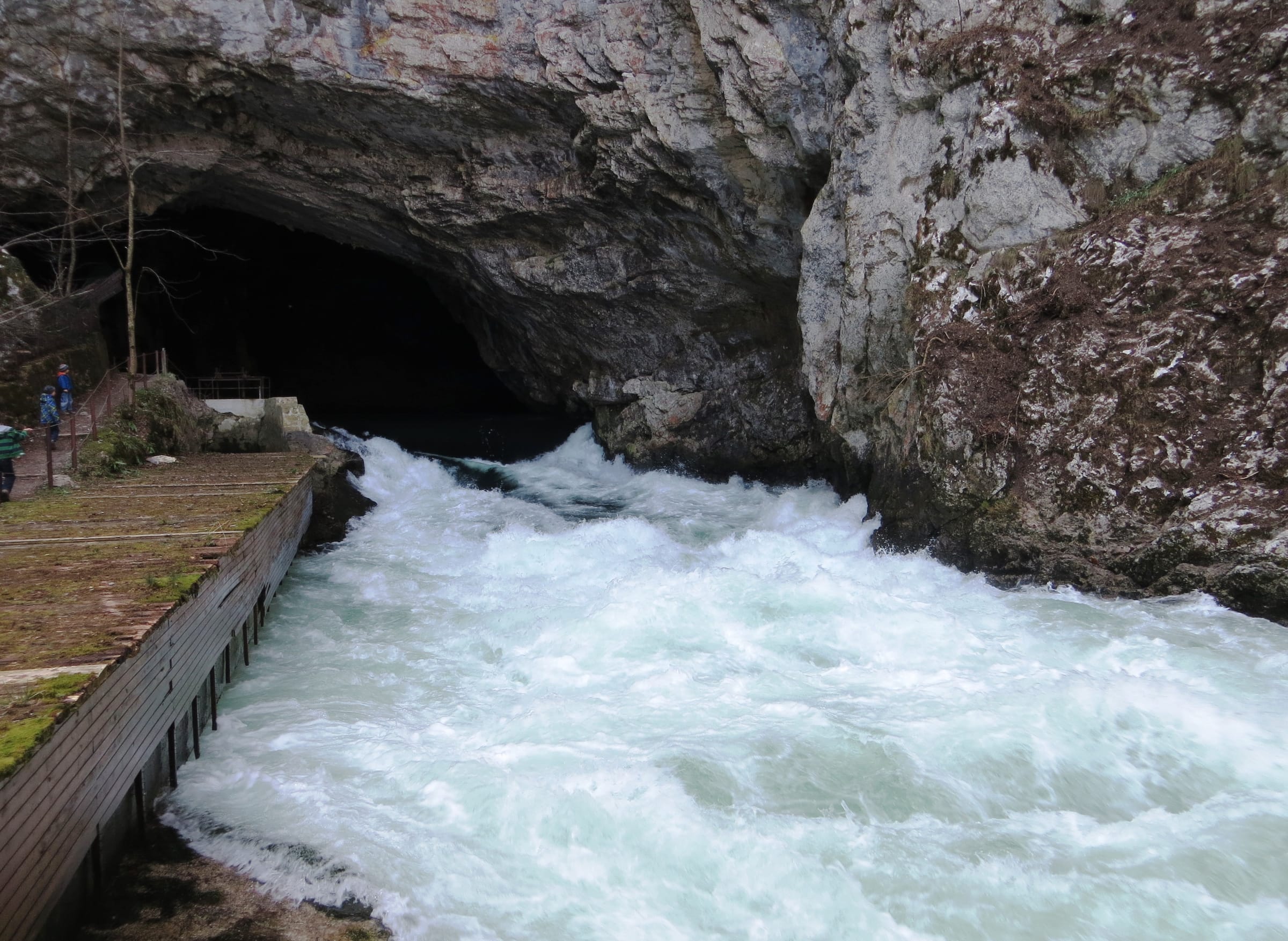 The Unica emerging from the mouth of Planinska jama into daylight, clear turquoise karst water.