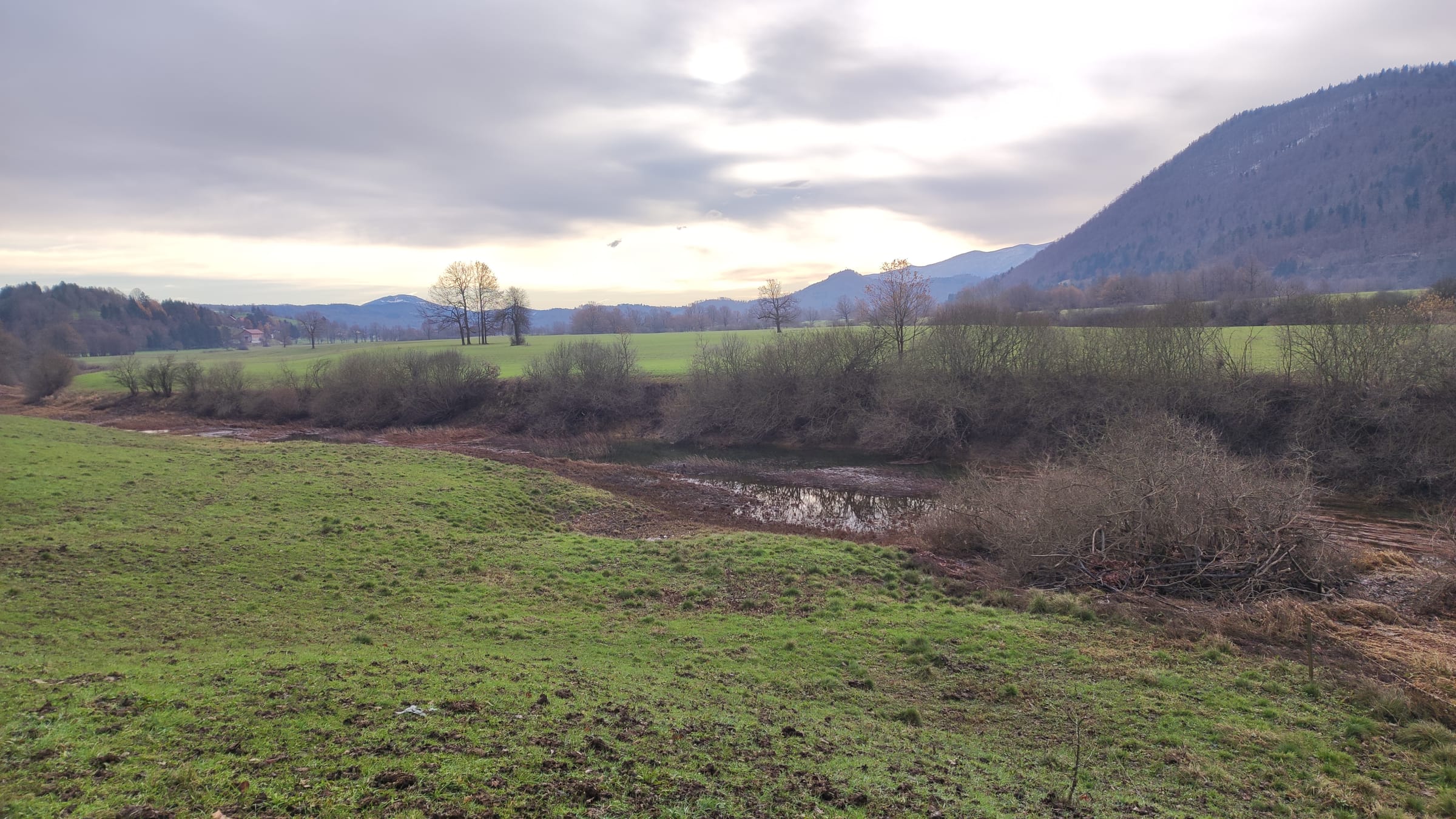 The Unica's eastern distributary flowing across the flat Planina karst plain, reed-fringed banks under open sky.