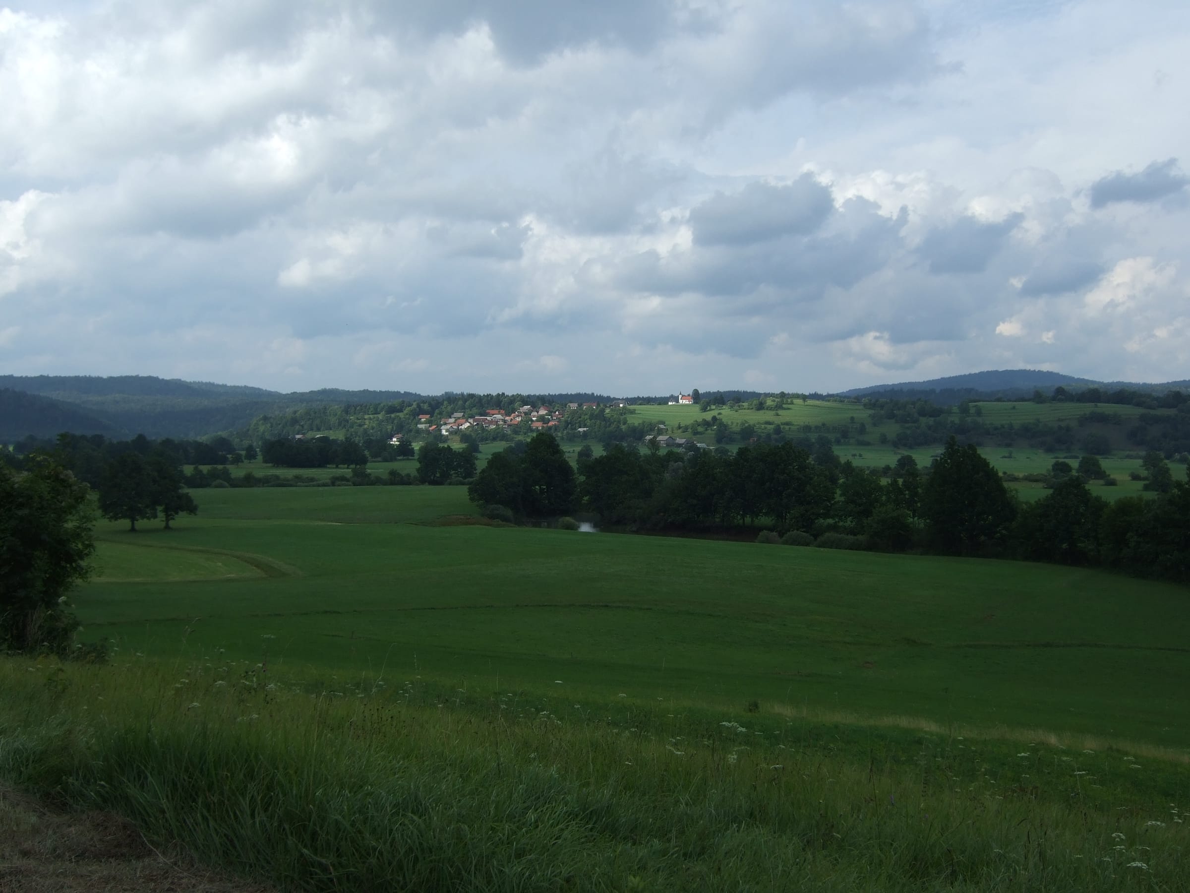 The Unica flowing past the village of Jakovica, Municipality of Logatec, with meadows on the bank.
