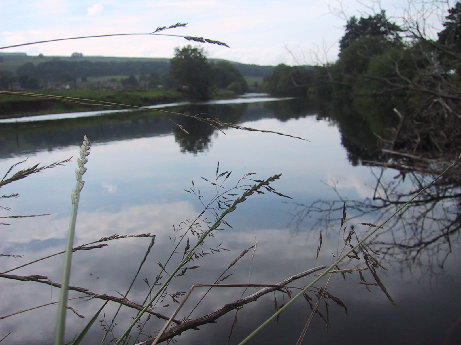 A wide summer view of the River Ure near Worton winding through lush valley meadows with limestone hills beyond.