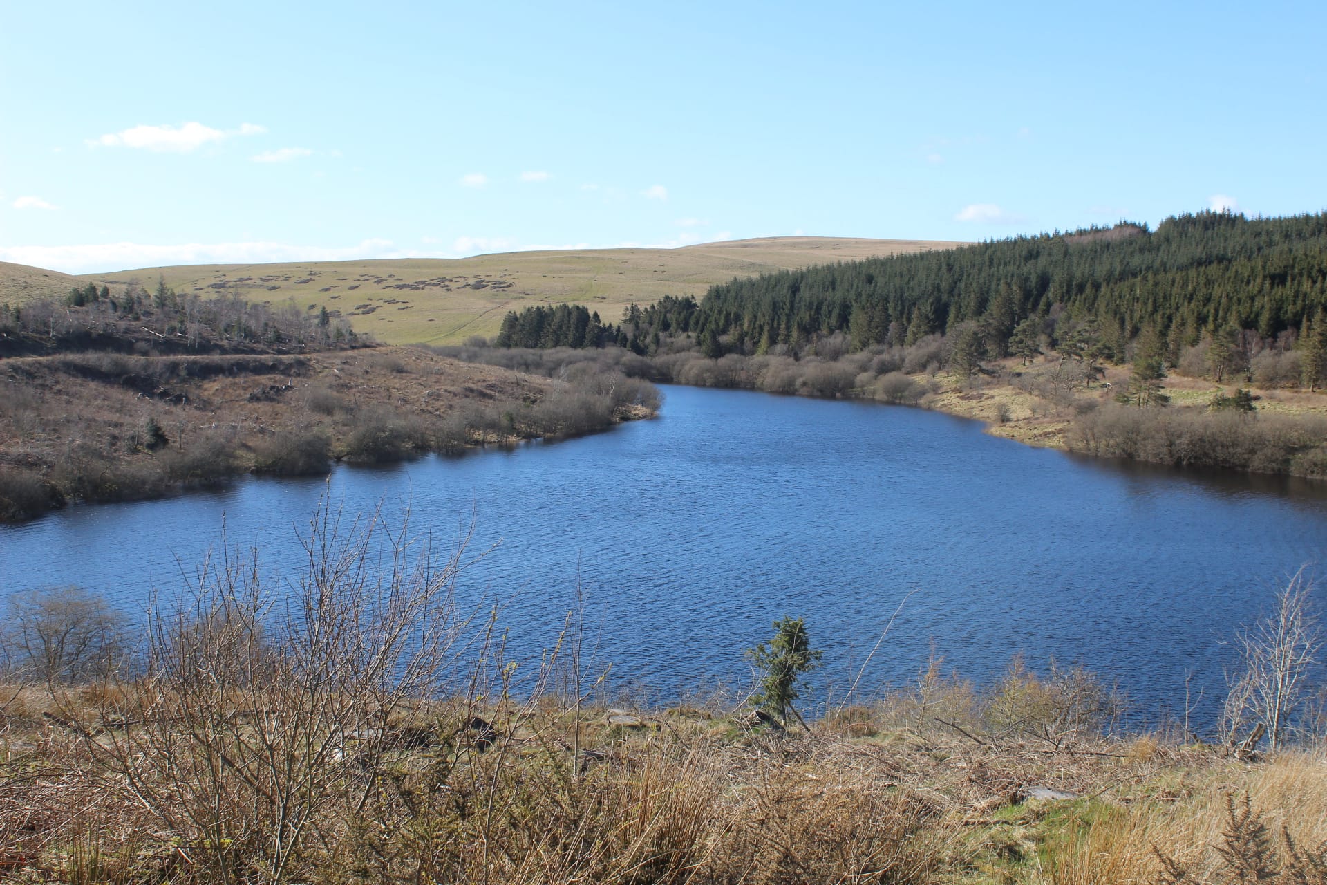 The shallow western end of Usk Reservoir with conifer and moorland shoreline reflected in calm water.