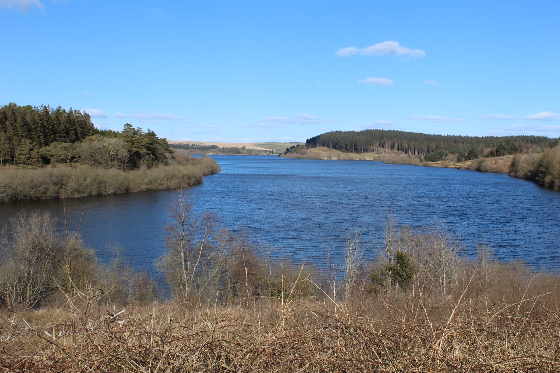Elevated view over Usk Reservoir looking northeast, the reservoir body with woodland on the far bank.