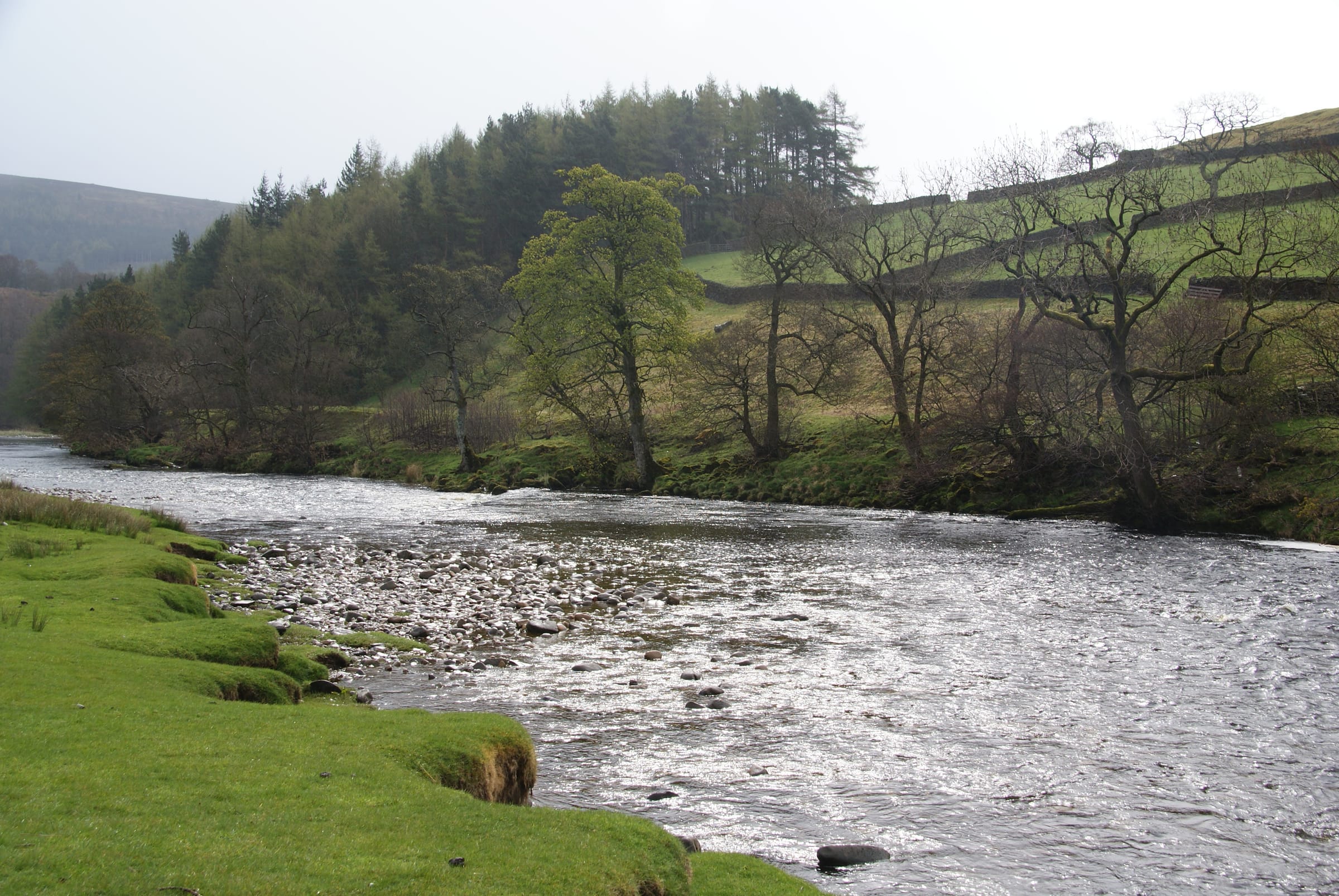 The River Wharfe meandering through open meadow near Appletreewick with woodland on the far bank.
