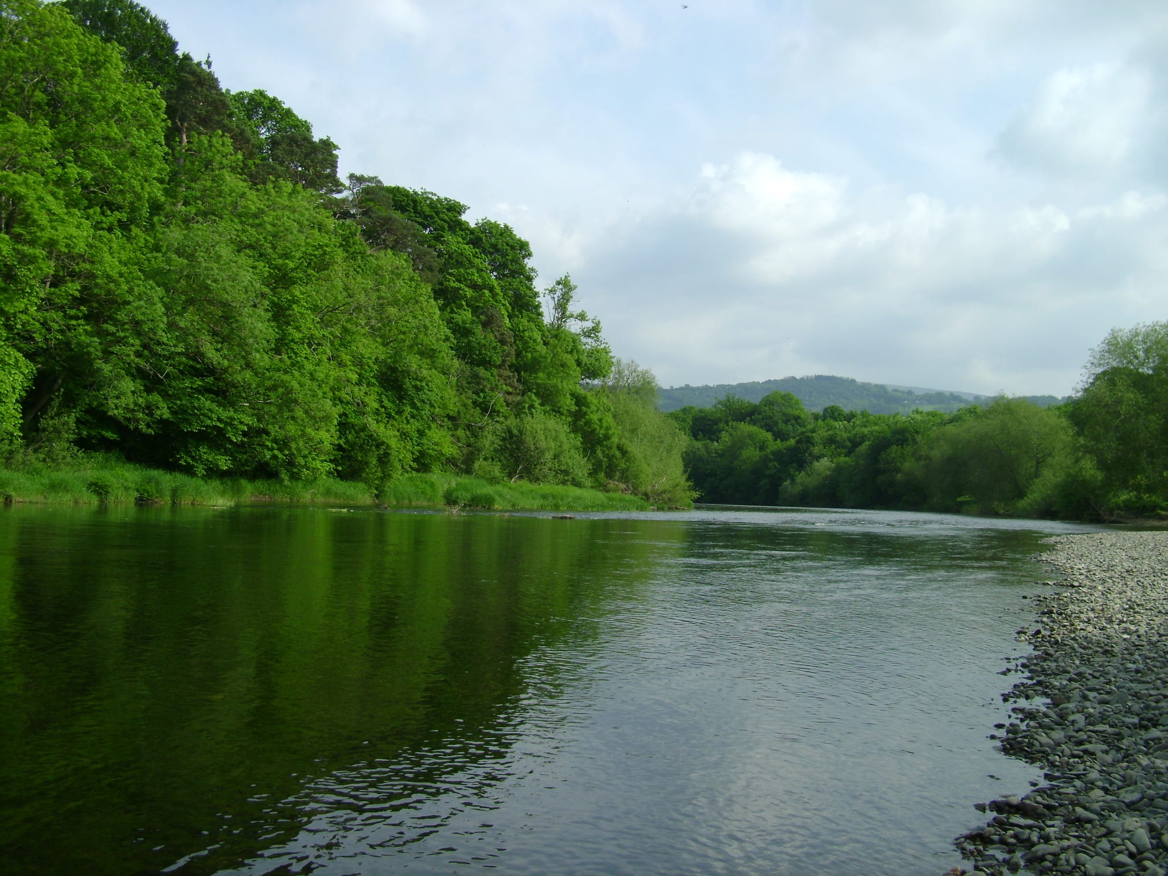 Looking downstream along the River Wye at Hay-on-Wye in late spring, green tree-lined banks and the river filling the frame.